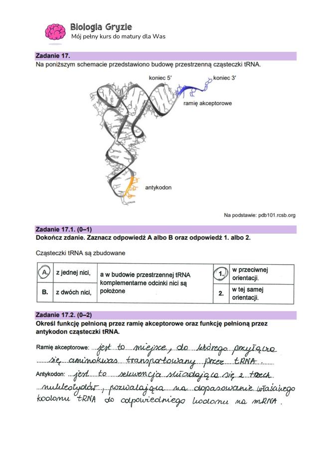 Matura 2024: biologia. Arkusze CKE i odpowiedzi. Poziom rozszerzony [Formuła 2023]