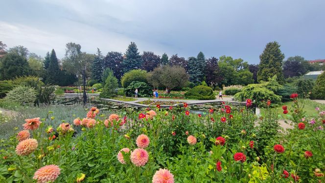 Nowa palmiarnia we Wrocławiu. To będzie wielka atrakcja regionu 