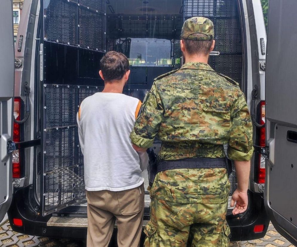 Masowe zatrzymania cudzoziemców na Śląsku. Mieli na koncie kradzieże i jazdę po alkoholu