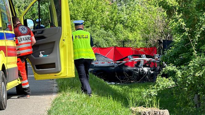 Auto uderzyło w drzewo i stanęło w płomieniach. Spłonęły trzy osoby!