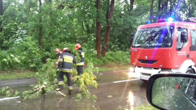 Burza nad Śląskiem zbiera żniwo. Połamane drzewa i braki w dostawie prądu [ZDJĘCIA, WIDEO]