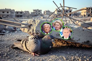Kwestia palestyńska dzieli UE. Trump obiecuje pokój, a Netanjahu dalszą ofensywę