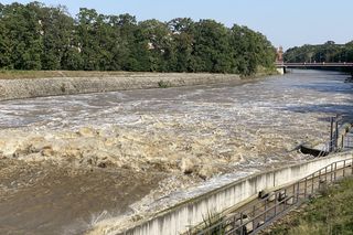Jaz Szczytnicki we Wrocławiu coraz bardziej wypełniony. Do Wrocławia zbliża się fala ZDJĘCIA