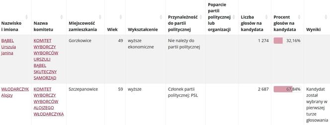 Jak głosowano w gminach powiatu piotrkowskiego? Znamy nazwiska burmistrzów i wójtów