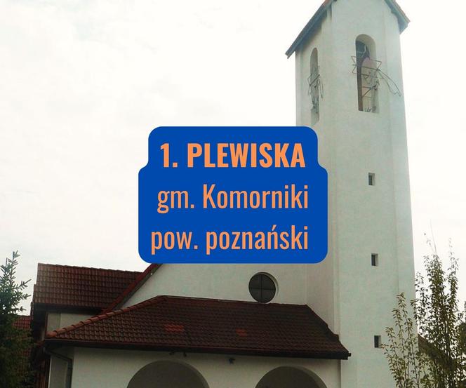 1. PLEWISKA