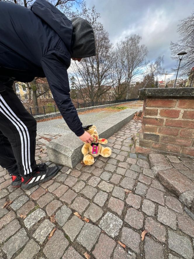 Na olsztyńskich ulicach pojawiły się „poobijane” misie. O co chodzi?