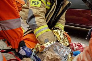 Maksiu cudem przeżył pod gruzami zawalonej kamienicy. Nie opuścił swojej pani 