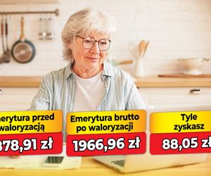 Waloryzacja emerytur 4,69 