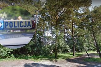 Poznań: Próba GWAŁTU w okolicach jeziora?! Uderzył kobietę i chciał ją zaciągnąć do lasu 