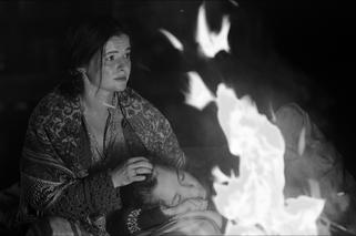 KRZYSZTOF KRAUZE, PAPUSZA