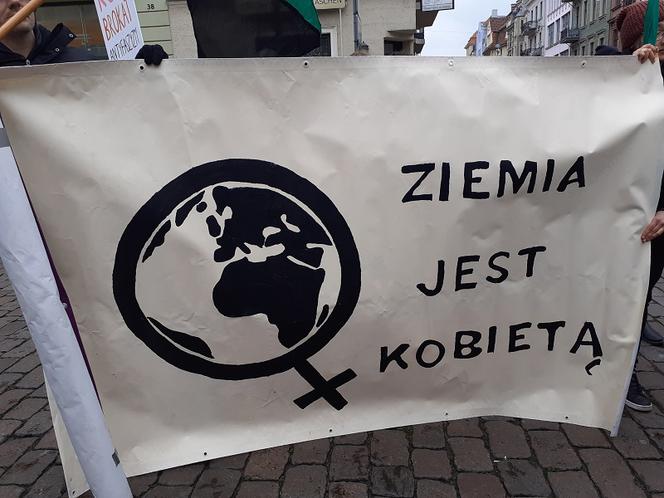 Manifa Toruńska przemaszerowała ulicami miasta