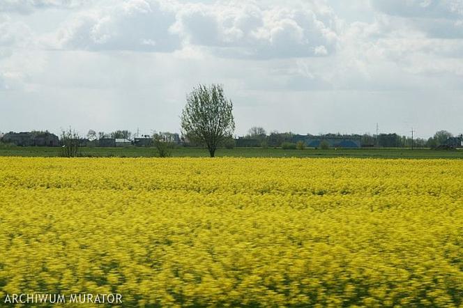Ułatwienia w odrolnieniu gruntów: prezydent nie podpisał nowelizacji ustawy