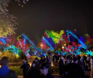 Light Move Festival 2025