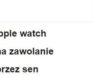 Google kończy 25 lat! Zobaczcie najzabawniejsze podpowiedzi wyszukiwarki. Polski Google to niezły wariat