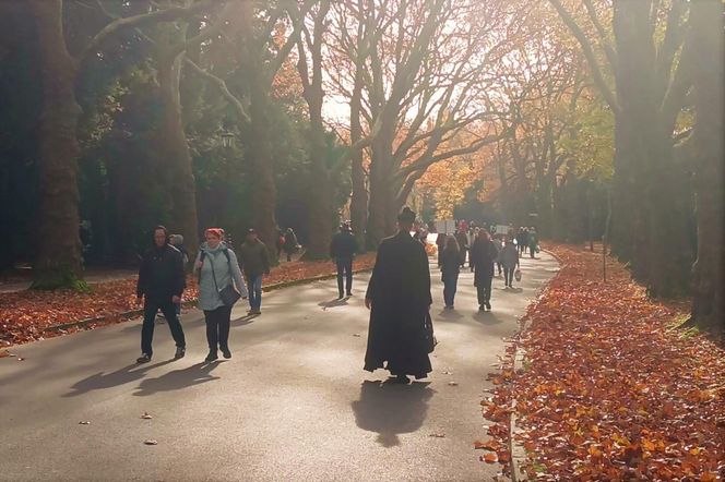 1 listopada na Cmentarzu Centralnym w Szczecinie