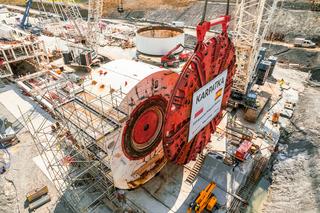 Karpatka w pełnej krasie. Niedługo wgryzie się w glebę