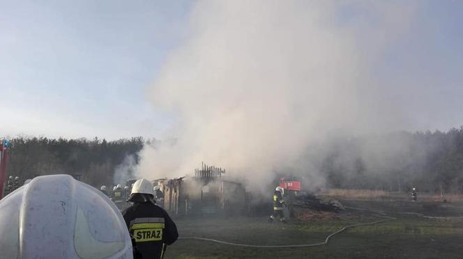 OGROMNY pożar w powiecie świeckim! Jedna osoba poszkodowana