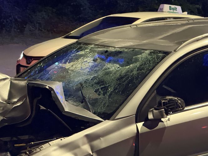 Wiemy, kto zginął w wypadku na Wisłostradzie. To znany lekarz i jego syn. "Wszyscy go doceniali"