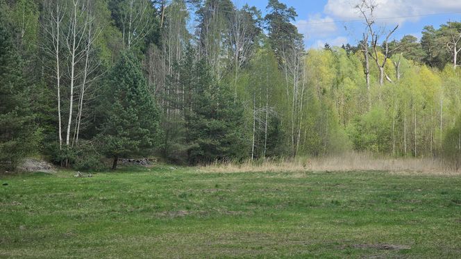 Stadion Leśny w Olsztynie dawniej i dziś. To tam bito rekordy świata w lekkiej atletyce