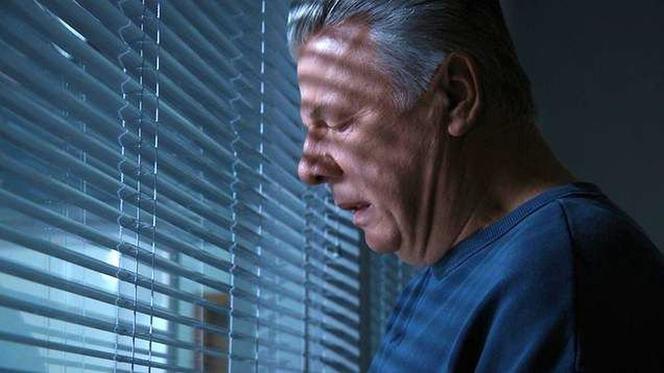 M jak miłość odc. 1437. Wojtek Marszałek (Emilian Kamiński)