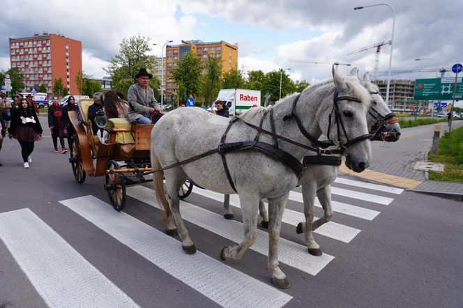 Juwenalia 2025 w Kielcach. Korowód studentów