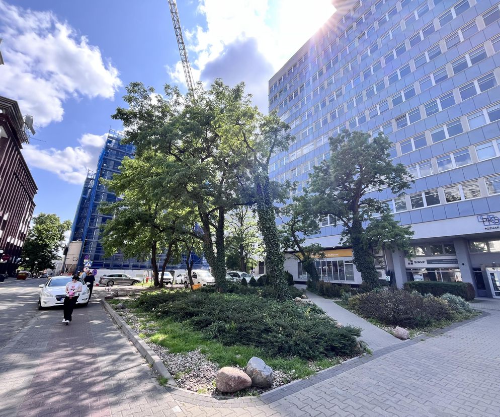 Miasto chce sprzedać zielony skwer w centrum! W tym miejscu może pojawić deweloperski budynek