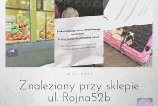 Kociak porzucony pod sklepem 