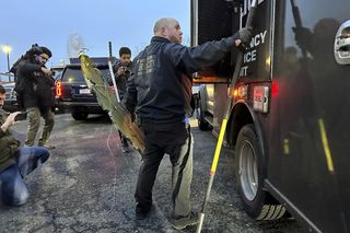 Przyjechali do Nowego Jorku świętować urodziny. Zginęli w katastrofie śmigłowca  Mam fotkę rodziny z FB zabitej pani, ale bez jednego dziecka: