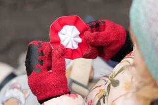 Kotyliony dla mieszkańców Warszawy