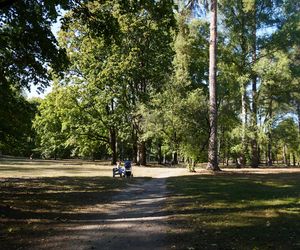 Pierwszy jesienny spacer po Białymstoku 2024