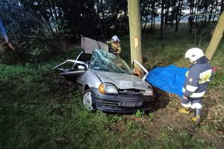 Tragiczny wypadek w Wielkopolsce. 74-latek prowadził bez prawa jazdy, nie udało się go uratować