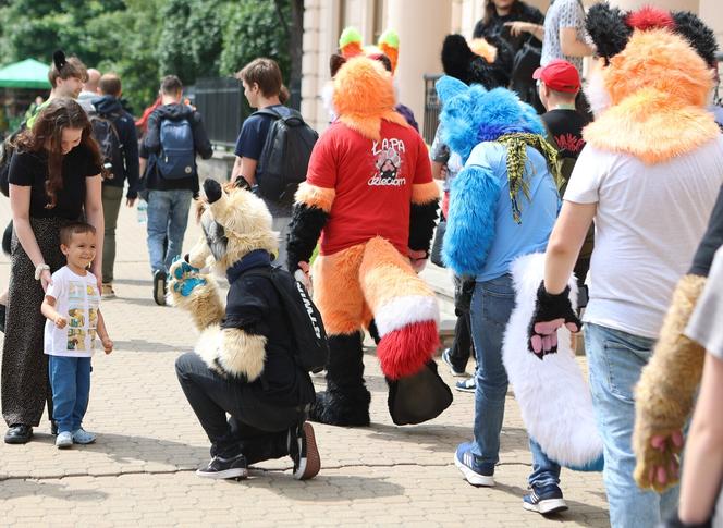 Marsz futrzaków w Lublinie. Tak wyglądał I Lubelski Fursuitwalk