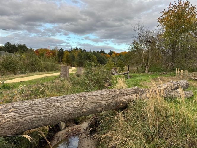 Serenity Park w Mysłowicach to nowe miejsce wypoczynku na Śląsku
