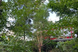 Fatalny błąd kierowcy seata! Nie opanował samochodu i wylądował w rowie