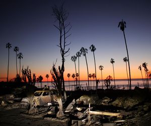 To on podpalił Kalifornię! Szaleniec odpowiada za wielkie pożary