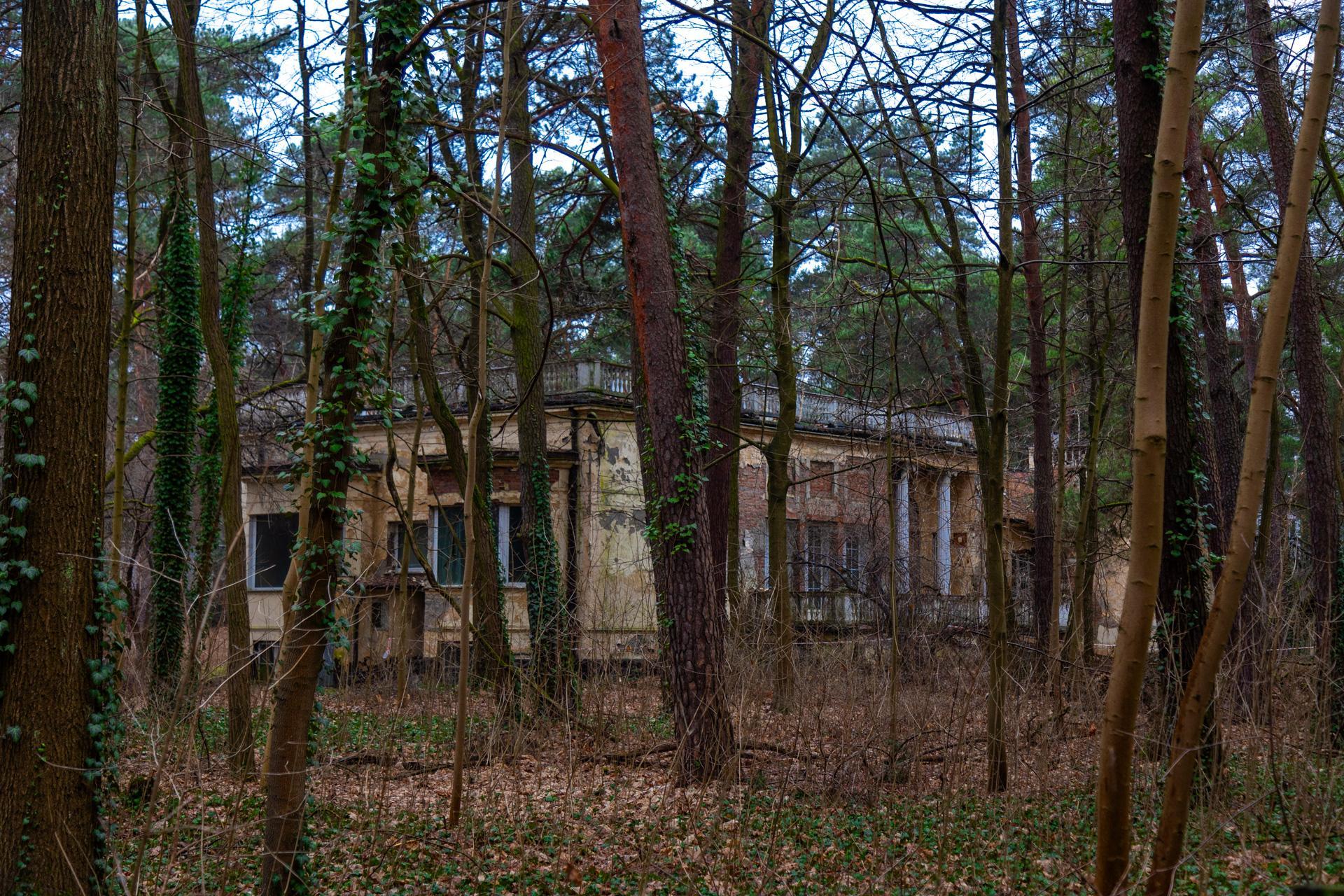 Konstancin-Jeziorna. Opuszczone wille - zobacz zdjęcia rezydencji, które kiedyś zachwycały