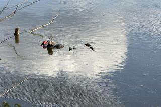 Makabra pod Legionowem. Ludzkie zwłoki pływały w Wiśle
