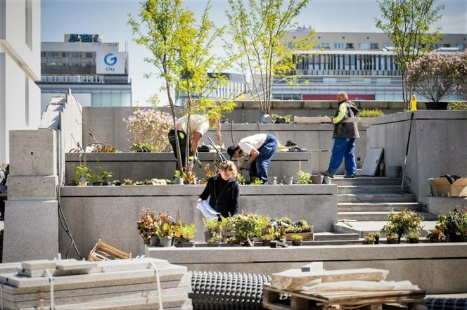 Warszawa. Plac Centralny