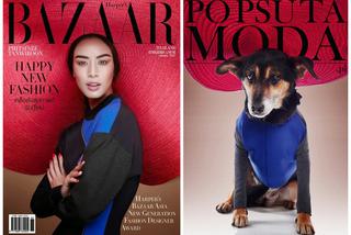 Prawie jak Harper's Bazaar