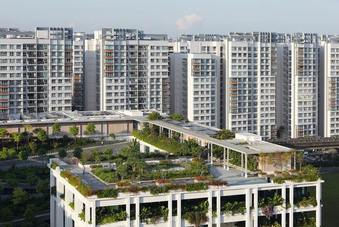 Oasis Terraces w Singapurze_Serie Architects_17