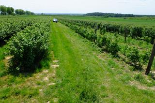 Diabelski plan Moniki. Najpierw był seks, a potem horror. Zbyszek ledwo przeżył