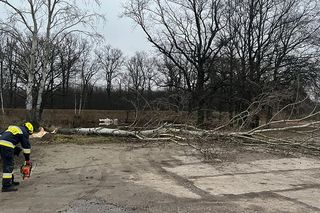 Nietypowa akcja straży 