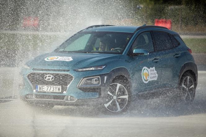 Energy Mix Arval 2020