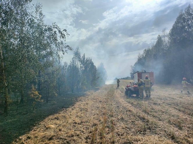 Pożar lasu