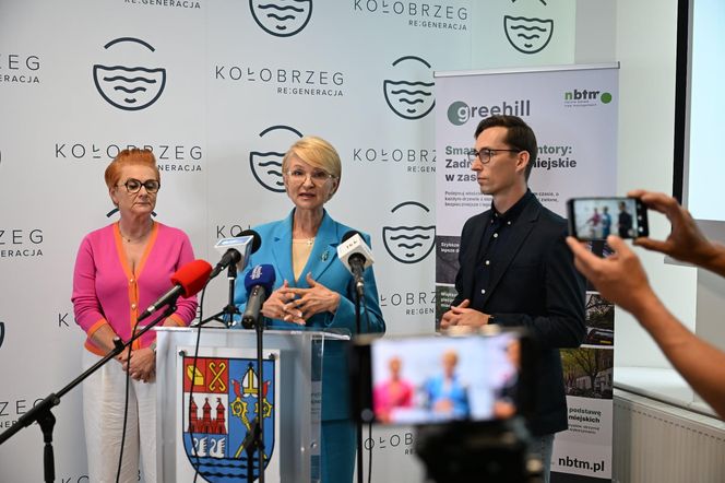 Cyfrowa inwentaryzacja drzew w Kołobrzegu