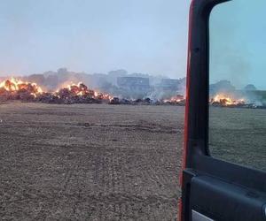 Pożary na polach pod Krotoszynem. Rolnicy wyznaczyli nagrodę