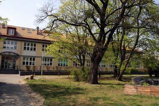 Zaplanowane rady pedagogiczne klasyfikujące uczniów przed maturą