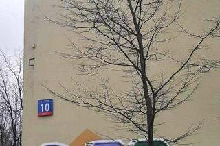Mural Anioła z serialu Alternatywy 4 na Ursynowie zniszczony przez wandala. Niedawno został odnowiony