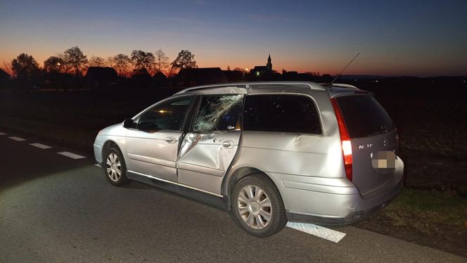 Śmiertelny wypadek pod Dzierżoniowem. Nie żyją 37- i 60-latek [ZDJĘCIA].