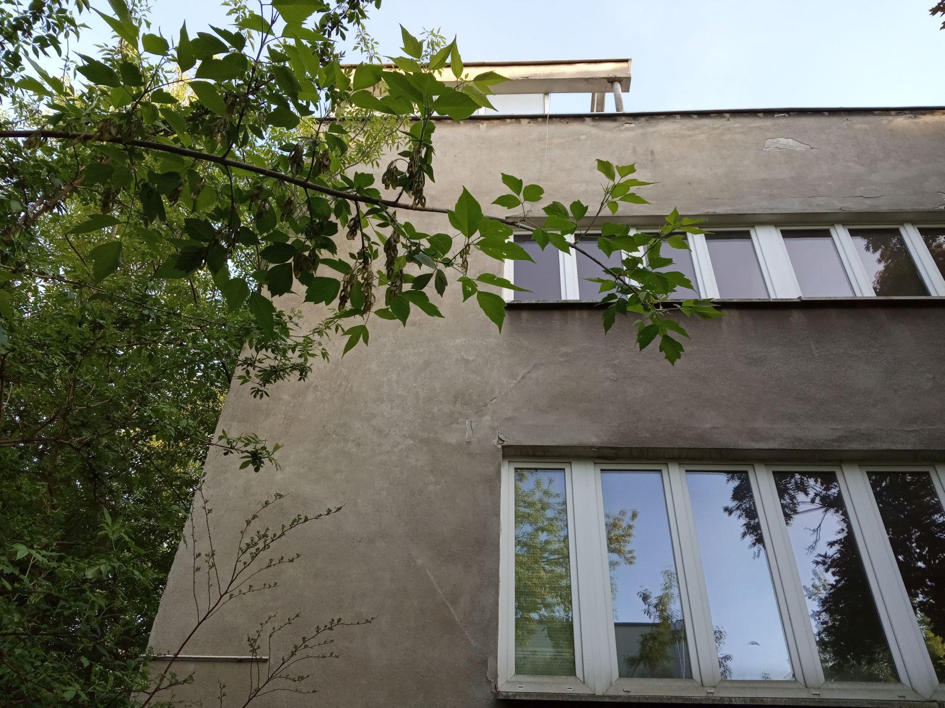 Jadwiga Dobrzyńska: prekursorka, architektoniczka, pierwsza kobieta w polskiej architekturze